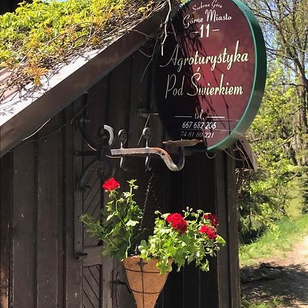 Agroturystyka Pod Swierkiem Srebrna Góra Exteriör bild