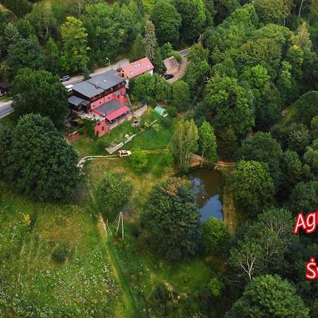 Agroturystyka Pod Swierkiem Srebrna Góra Exteriör bild