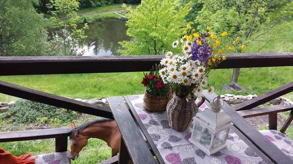 Agroturystyka Pod Swierkiem Srebrna Góra Exteriör bild