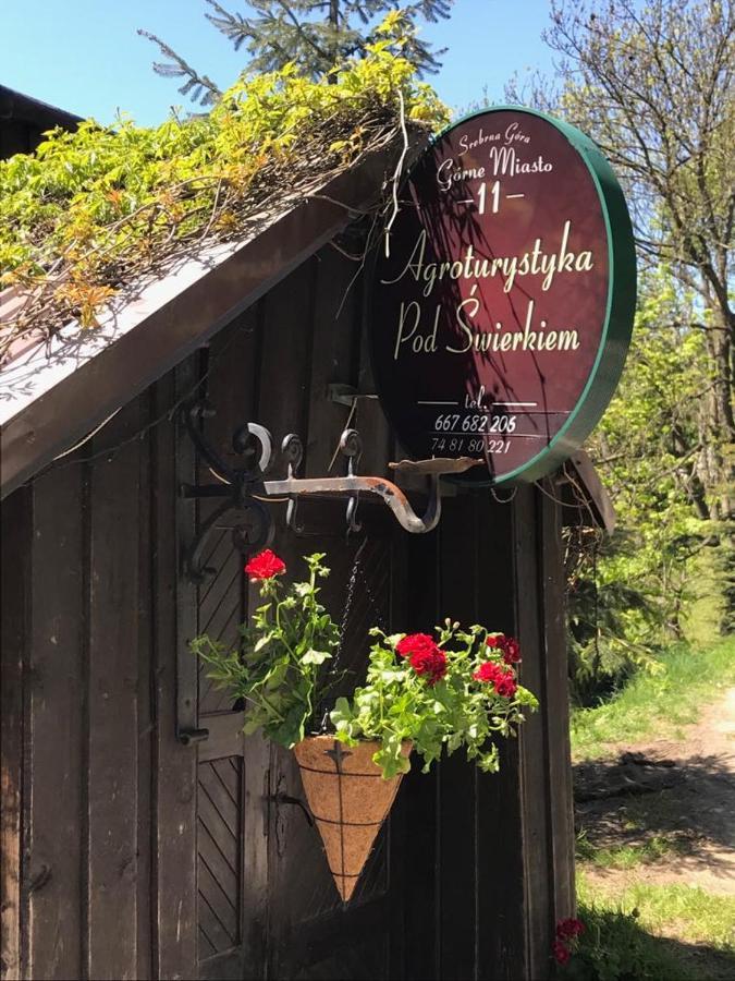 Agroturystyka Pod Swierkiem Srebrna Góra Exteriör bild