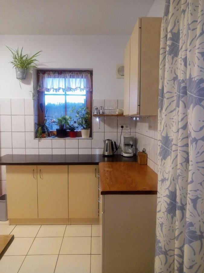 Agroturystyka Pod Swierkiem Srebrna Góra Exteriör bild